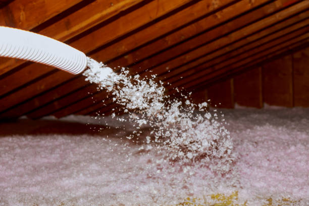 Best Specialty Insulation in Demopolis, AL