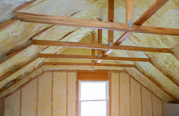 Best Residential Insulation in Demopolis, AL