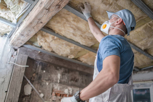 Best Commercial Insulation in Demopolis, AL
